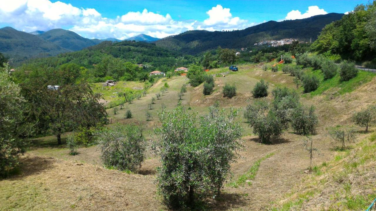 Agriturismo Tenuta Valletti. Sesta Godano Extérieur photo